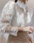 Victorian lace blouse