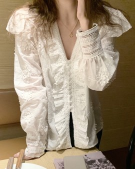 V-neck embroidery blouse