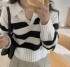 Collared stripe knit pullover