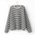 LM+ Stripe Pullover