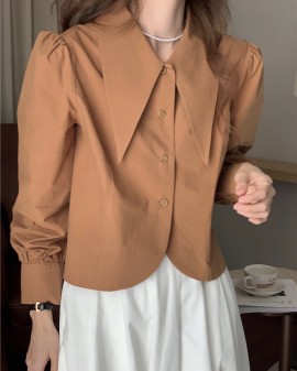 Short button blouse