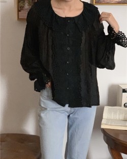 Sheer embroidery lace blouse