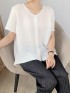 Pleated sheer button blouse