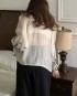 Sheer embroidery blouse