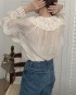 Sheer embroidery lace blouse
