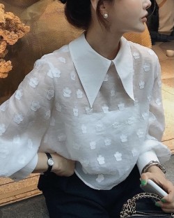 Sheer polka dot blouse